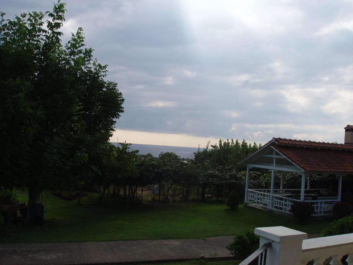House With A View