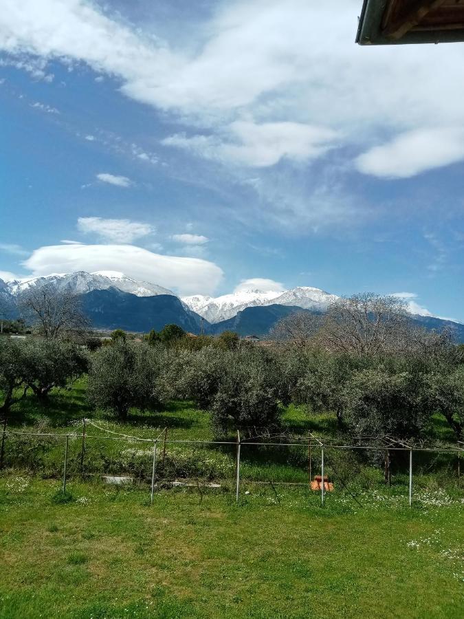 Villa House With A View Litochoro