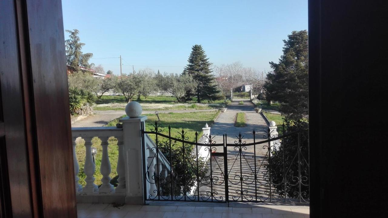 House With A View * Litochoro