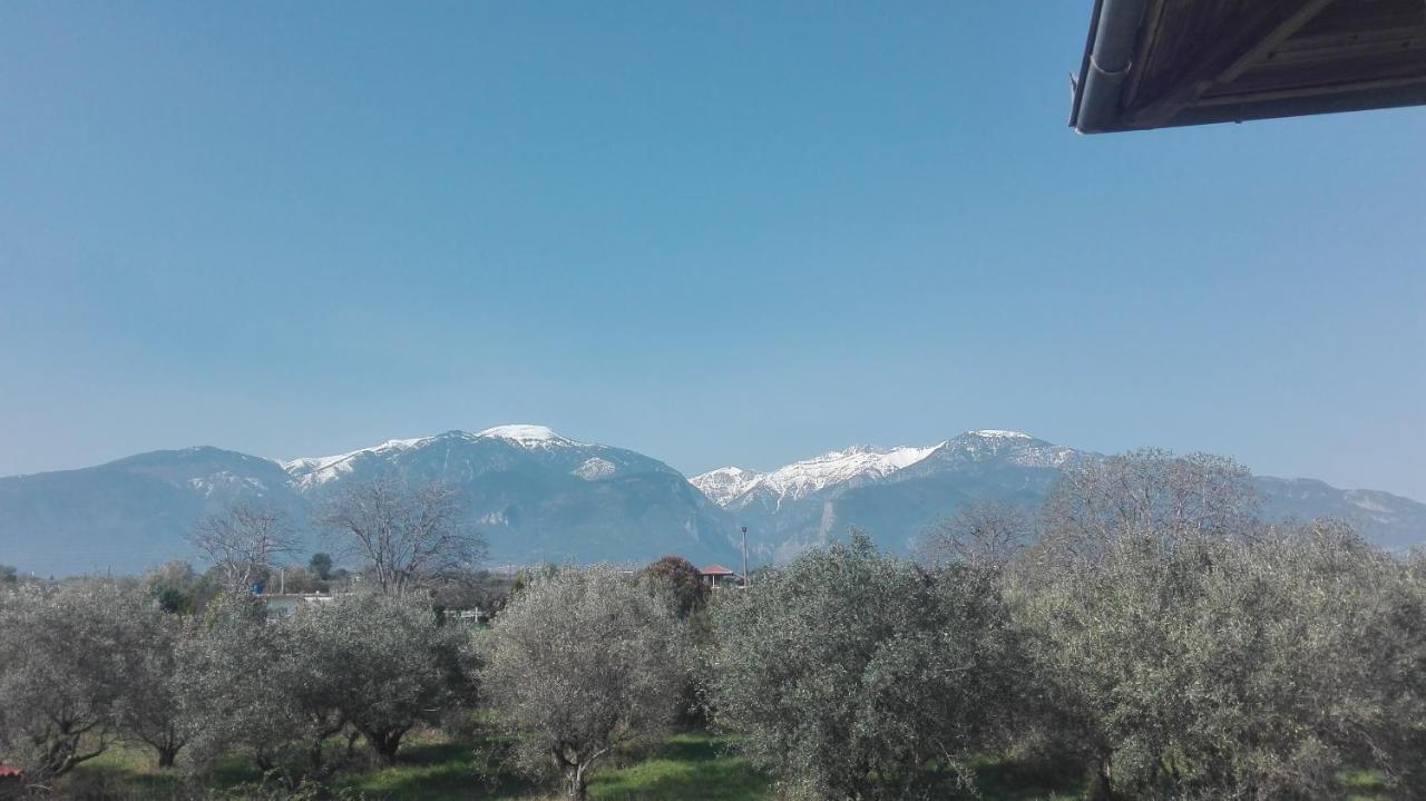 House With A View Litochoro